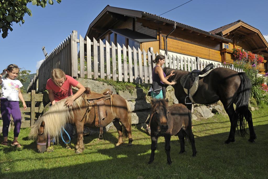 Vila Abelhof Schladming Exteriér fotografie