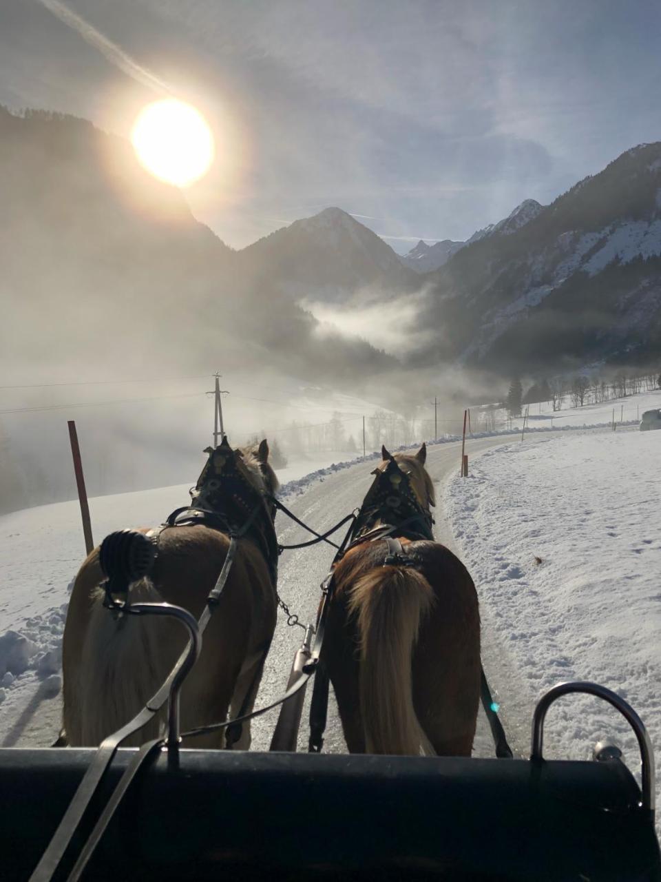 Vila Abelhof Schladming Exteriér fotografie